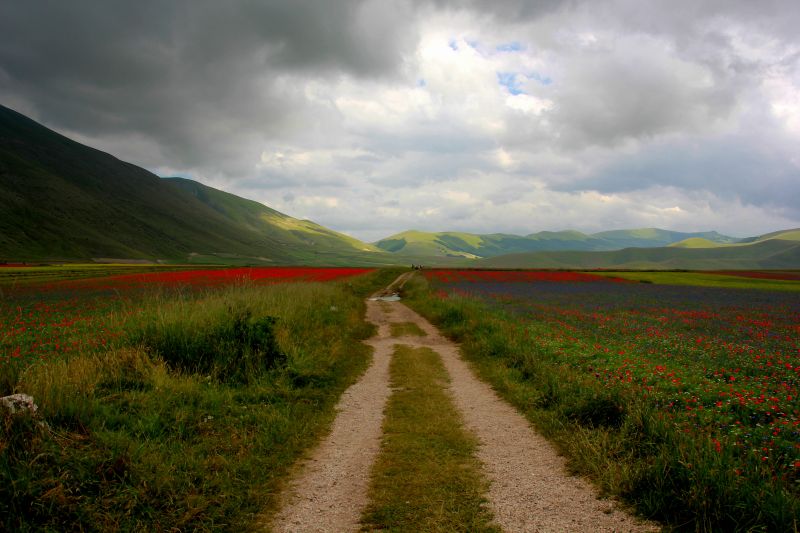 Itálie, slunečnímu záření, krajina, kopec, tráva, nebe Itálie, slunečnímu záření, krajina, kopec, tráva, nebe