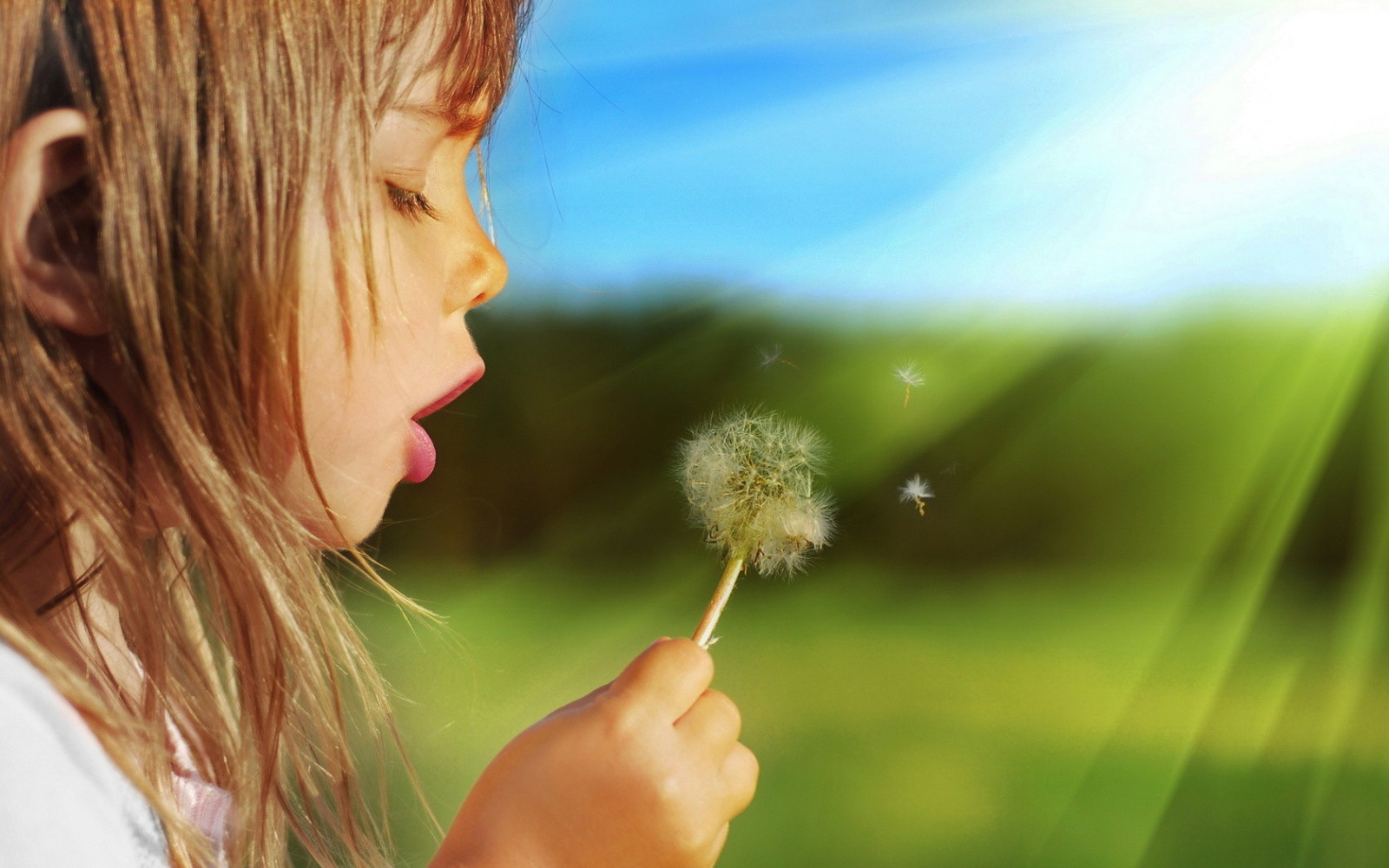 slunečnímu záření, děti, Příroda, tráva, fotografování, zelená, ráno, emoce, kůže, barva, list, květ, rostlina, krása, oko, ruka, smysl, počítač tapeta, orgán, zblízka, makro fotografie, tráva rodina