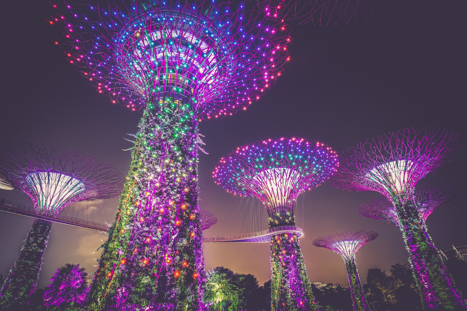 Masaüstü Singapur, artificial trees, aydınlatma, dekorasyon, Şehir