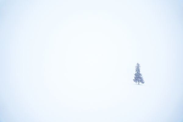 cloud,sky,twig,Freezing,font,electric blue