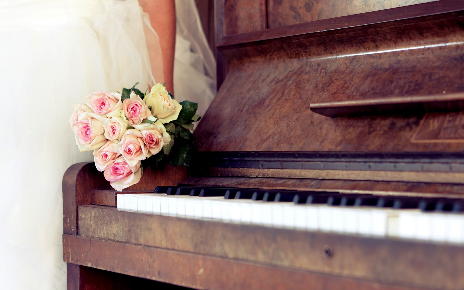 Wallpaper : flowers, musical instrument, music, technology, roses ...