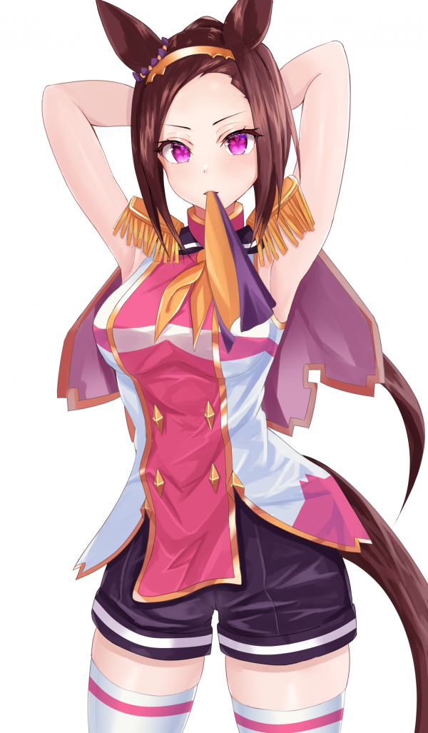 anime,anime girls,Uma Musume Pretty Derby,horse girls,ponytail,brunette