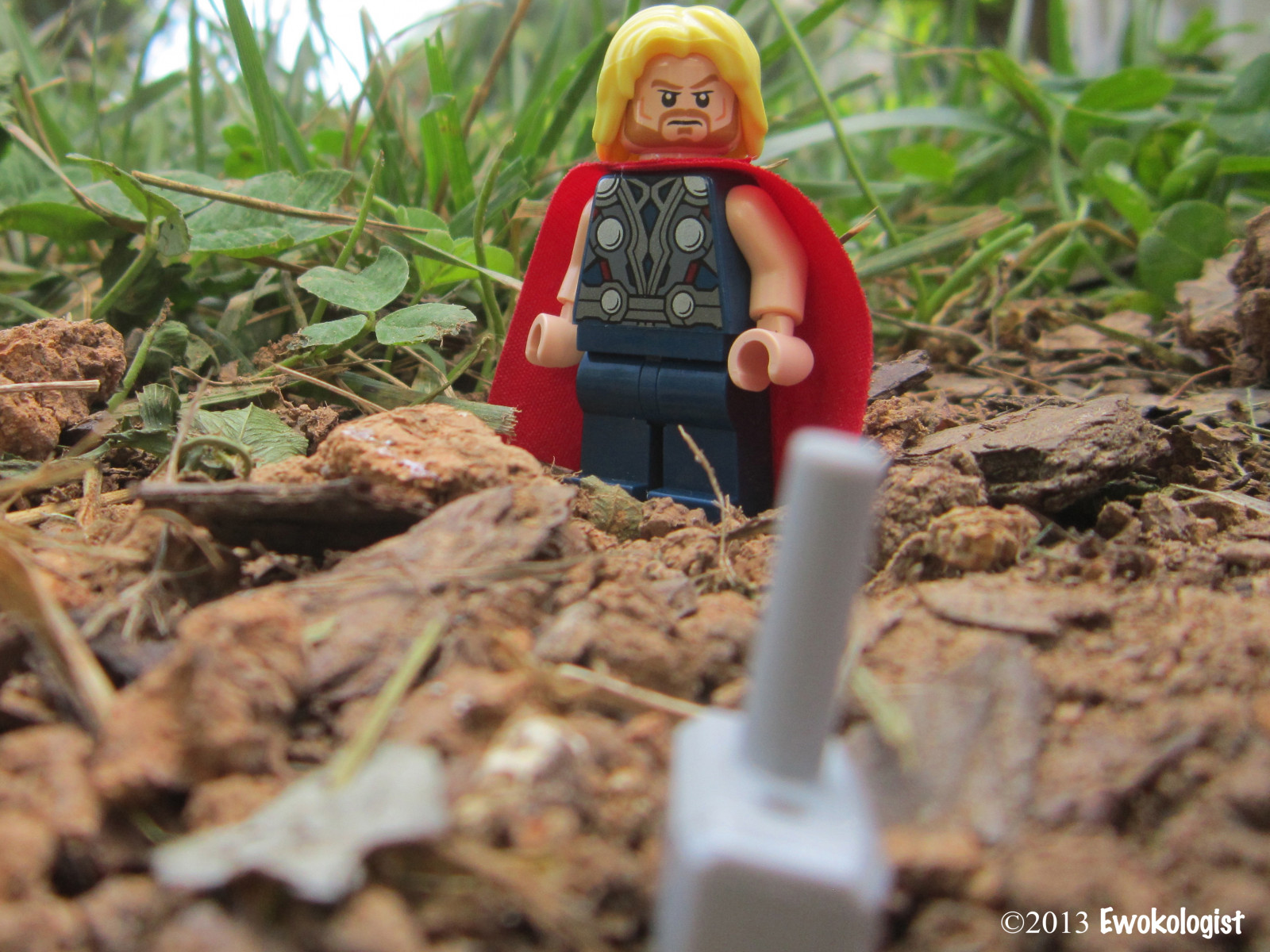 Příroda, kladivo, LEGO, Ewok, špína, pelerína, super hrdinové, Thor, zázrak, Avengers, , ewokologist