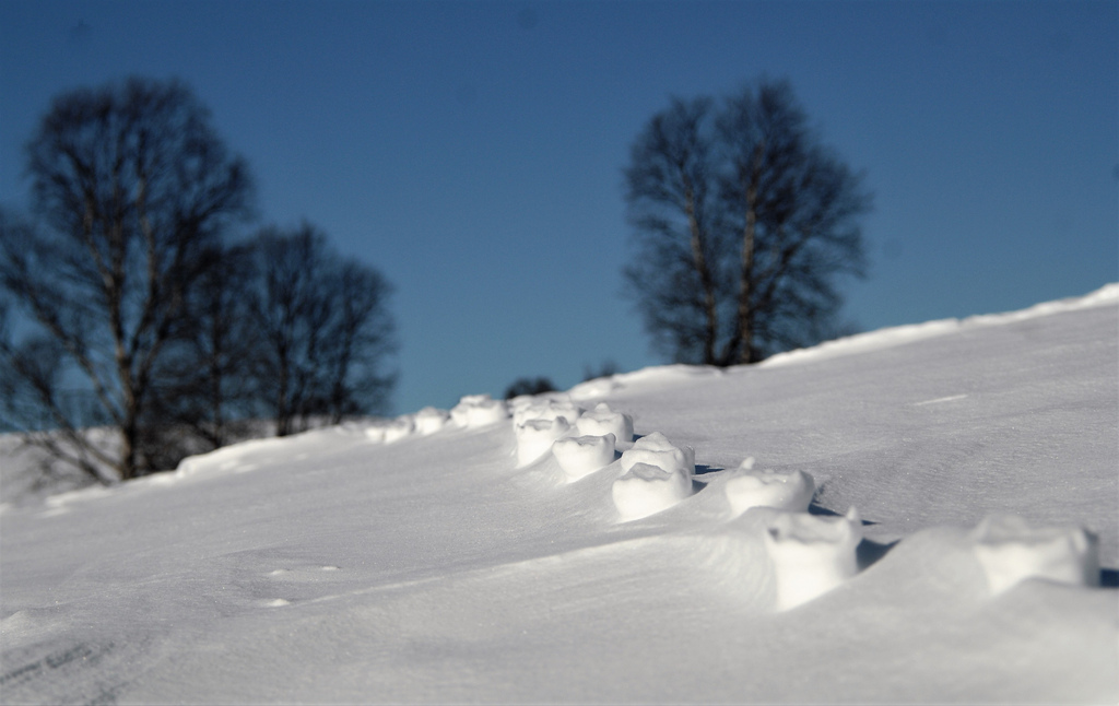 sne, vinter, Nikon, bokeh, spor, Fryser, Spor, Hedmark, vejr, sæson, sn, vinter, piste, snestorm, norge, fodtøj, D2X, geologisk fænomen, helios, Kvikne