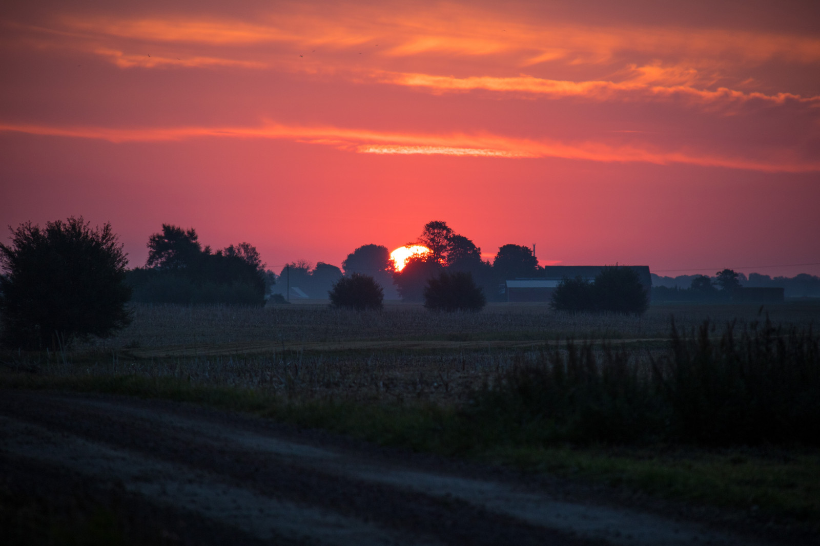 landskab, solnedgang, himmel, Mark, solopgang, aften, morgen, Sol, horisont, skumring, Sky, daggry, himmel, landskabet, Moln, landsbygd, soluppg ng, s dersl tt, landskap, Gryning, exif model canoneos760d, geocountry, kamera gør kanon, geocity, kameramodel canoneos760d, geostate, geolocation, exif linse efs18200mmf3556is, exif åbning 56, exif focallength 200mm, exif gøre kanon, exif isospeed 200, Morgon, prærie, atmosfærisk fænomen, efterglød