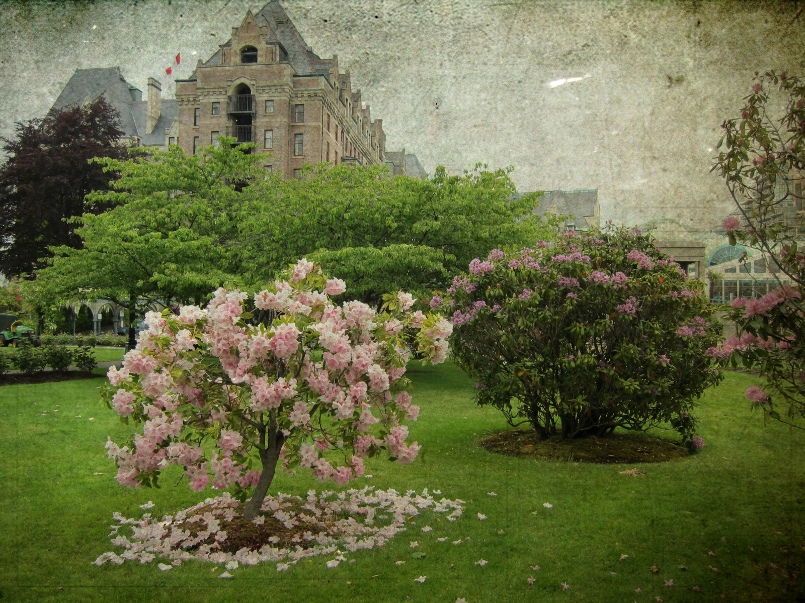 Kanada, krajina, Lístky, jaro, smět, vancouverisland, victoriabc, motat, fairmontempress, thegalaxy, tatot, zedzap