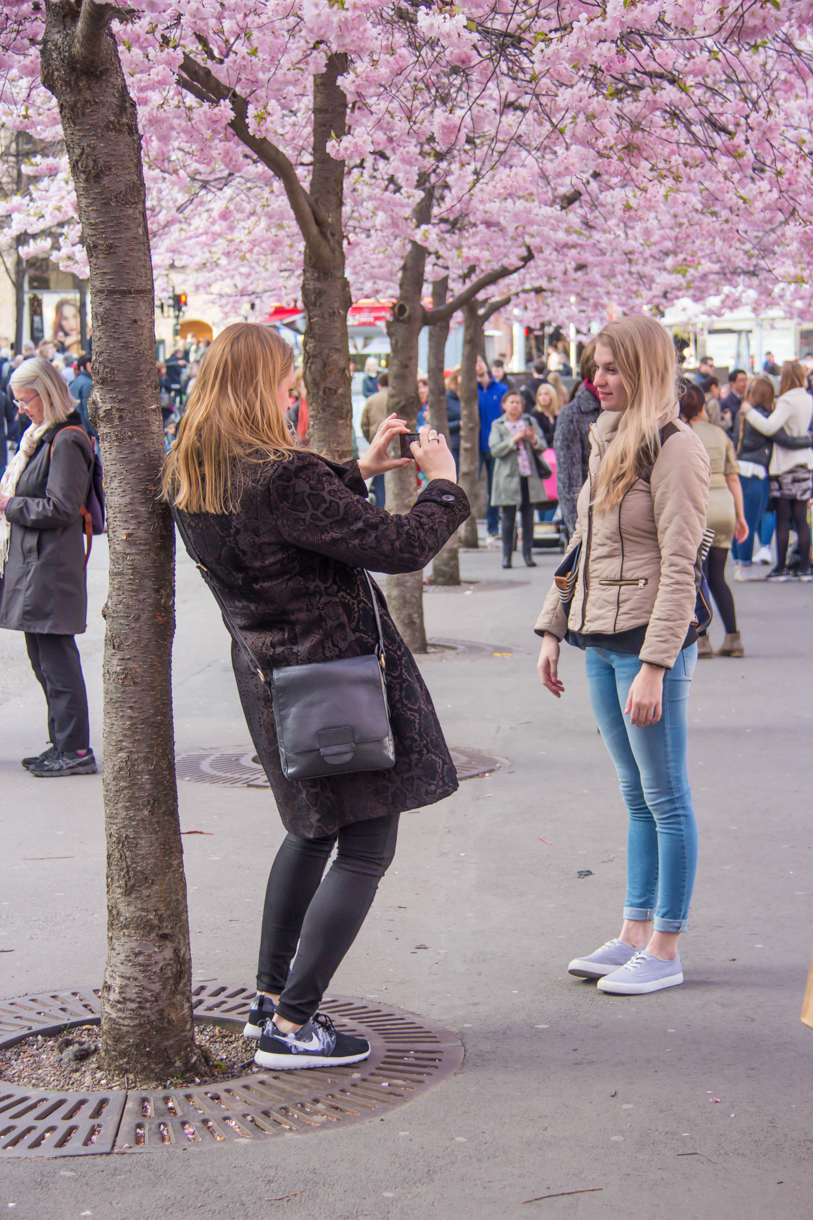 mennesker, gade, vinter, vej, mode, Stockholm, forår, tøj, infrastruktur, fodgænger, farve, blomst, sæson, cherryblossom, m nniskor, k RSB rsblom, kungsan, k RSB Rstr d, kngstr dg rden