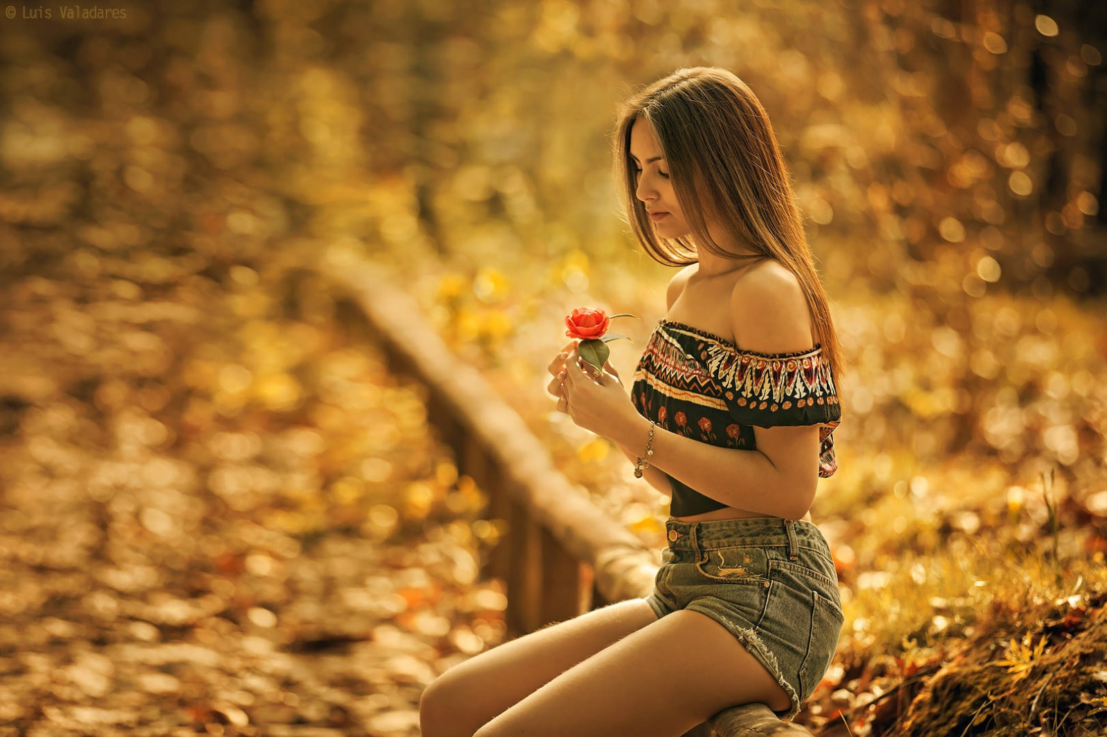 slunečnímu záření, lidé, ženy venku, ženy, model, portrét, květiny, sedící, fotografování, džíny, jean šortky, móda, růže, jaro, Osoba, podzim, dítě, květ, dívka, krása, sezóna, žena, dáma, zábava, fotografie, portrétní fotografie, focení