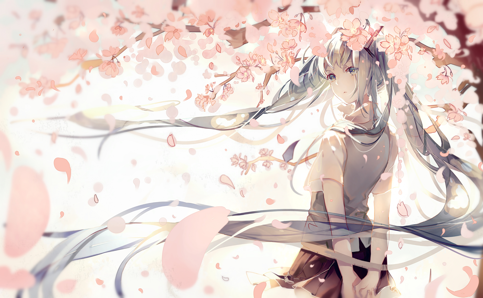 hình minh họa, Anime, truyện, hoa, Mangaka