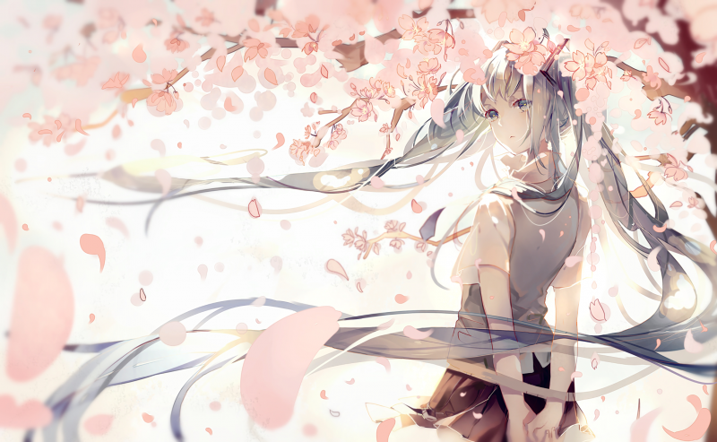 illustration, anime, manga, flower, mangaka illustration, anime, manga, flower, mangaka