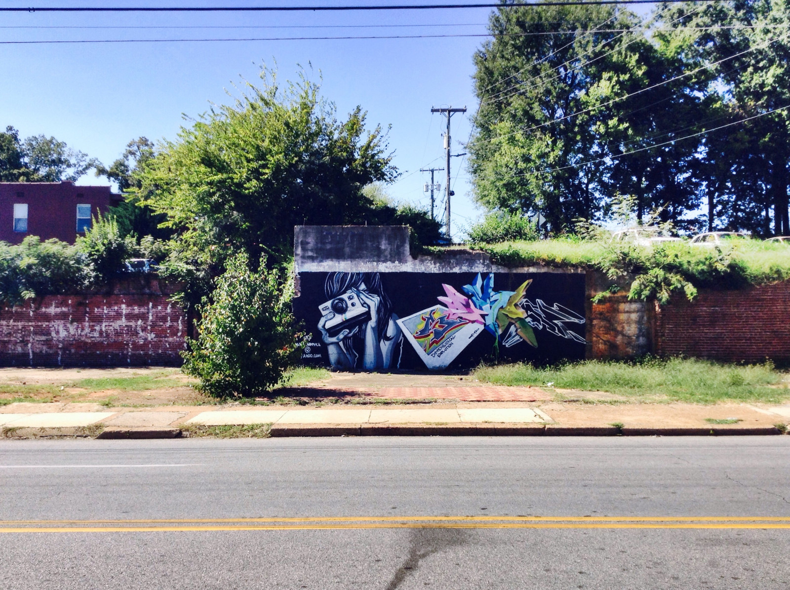 træer, landskab, sort, gade, bil, rød, skygge, køretøj, væg, vej, hus, grøn, Brun, orange, buske, graffiti, gadekunst, lyserød, grå, transportere, asfalt, vægmaleri, Tennessee, lys, træ, areal, plante, blå himmel, murstens væg, reklame, forstad, fortov, Stenmur, kvarter, boligområde, whiteclouds, chattanoogatn, solrig dag, wallmural, graffati, urbanartwork, telephonepoleswires, coolartmural