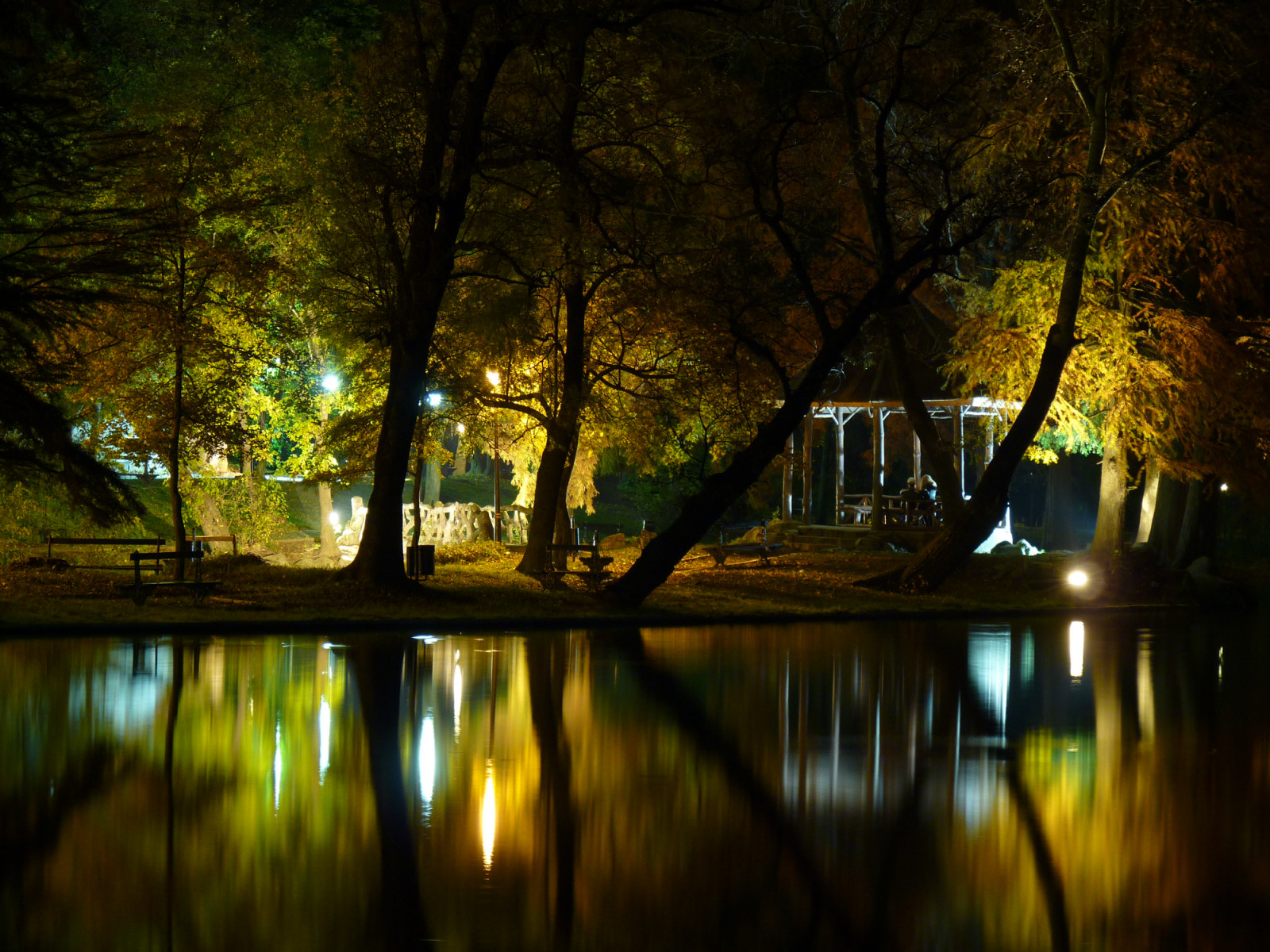 park, město, longexposure, stromy, světlo, strom, noc, odrazy, lumix, fotografování, světla, Evropa, dlouho, expozice, nightlights, nightshot, Panasonic, LE, Rumunsko, nightshots, nuit, parc, Roumanie, Craiova, Parcul, Romanescu, rum nien, Rumänien, Oltenia, Dolj, parculromanescu, FZ38, fz35, outstandingromanianphotographers, dwcffnight