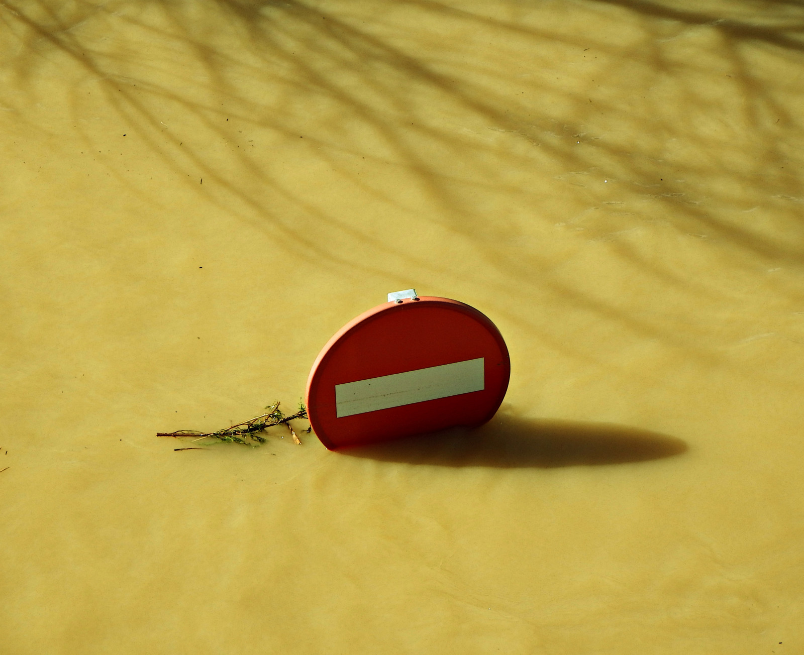 Červené, Španělsko, agua, fuji, 1001nights, 1001nightsmagiccity, Zaragoza, aragon, espana, zblízka, makro fotografie, portalealba, ebro, zaragozaparque