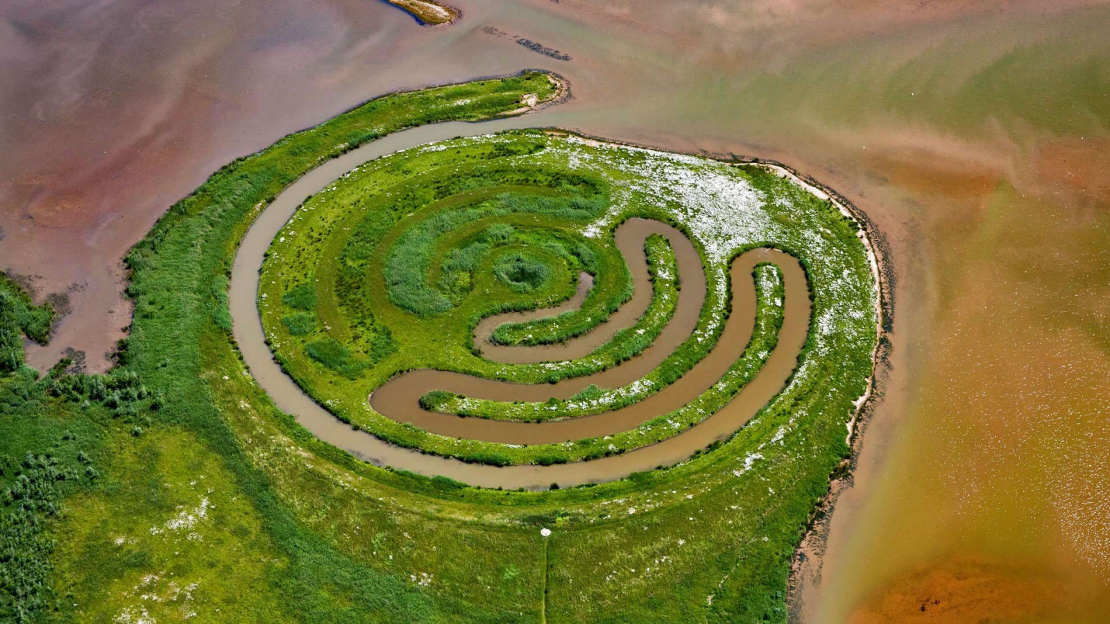 alberi, paesaggio, lago, acqua, natura, erba, piante, campo, verde, cerchio, vista aerea, Olanda, cane sorridente, Terreno, terrazza, pianura, immagine dello schermo, suolo, fotografia aerea, ecosistema