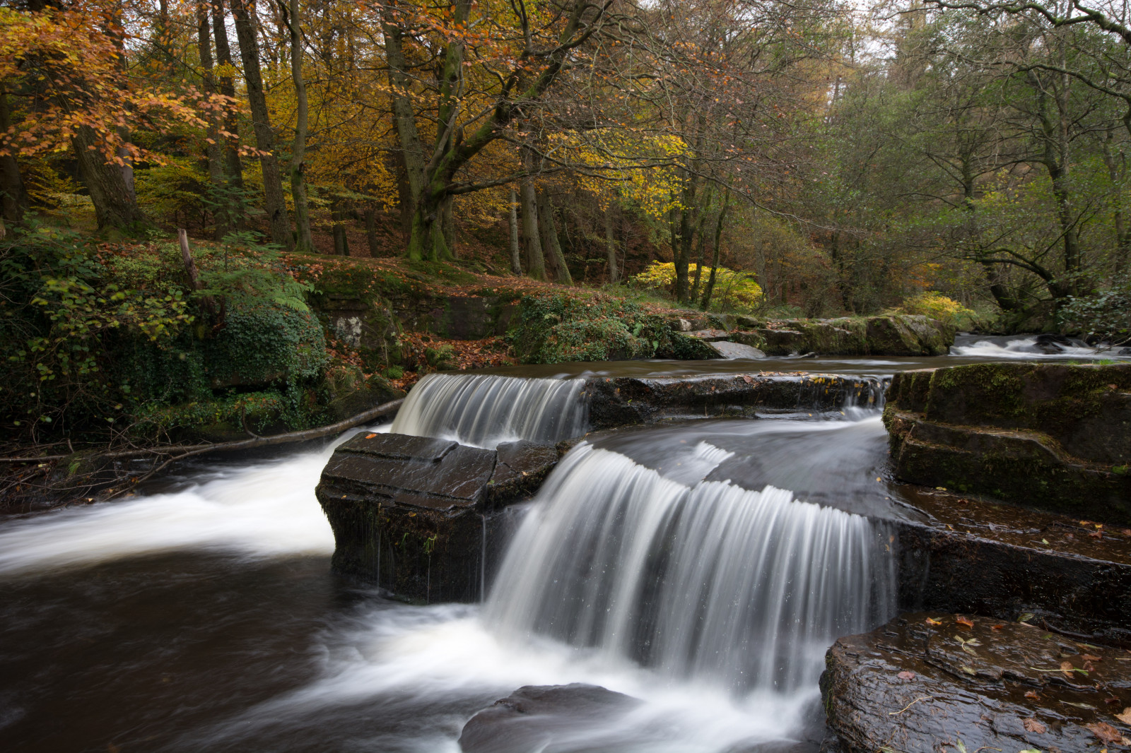 levelek, Wales, vízesések, brecon, autumncolour