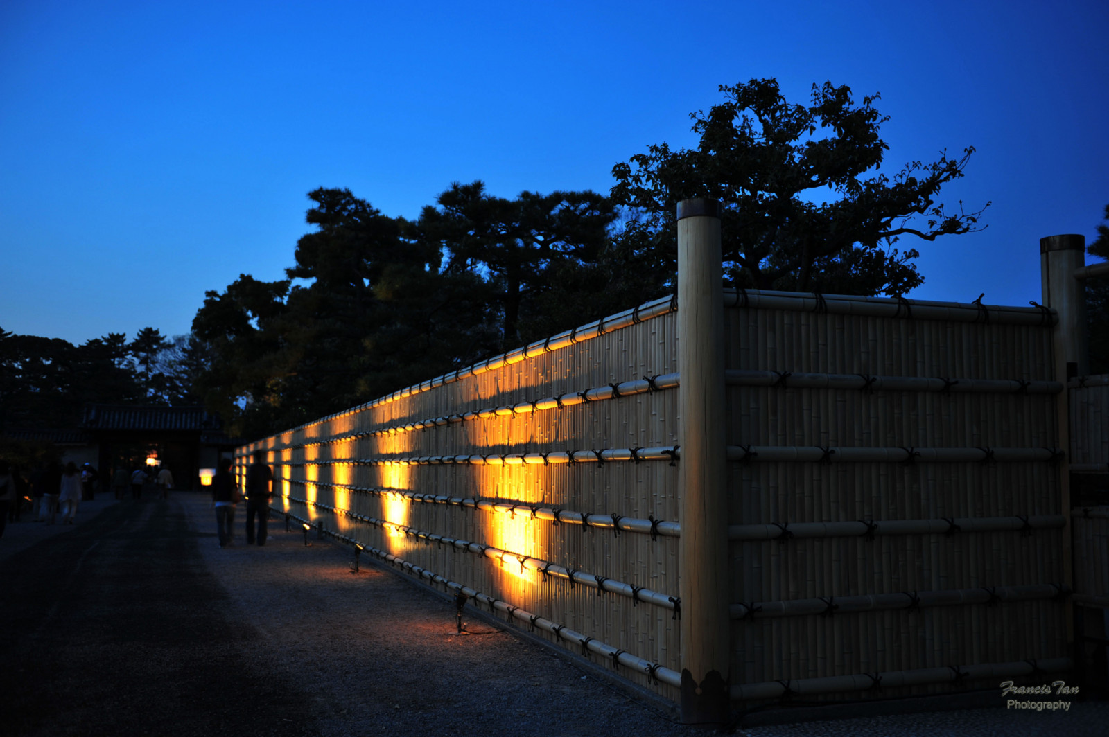 træer, linjer, Japan, hegn, lys, forsvindingspunkt, Kyoto, nightscape, NightShot, silhuetter, blå himmel, bambus, håndholdt, nightscene, Bluehour, notripod, bamboofence, nijocastle, travelphoto, fongetz, francistan, nikond700, 2470mmnikkor
