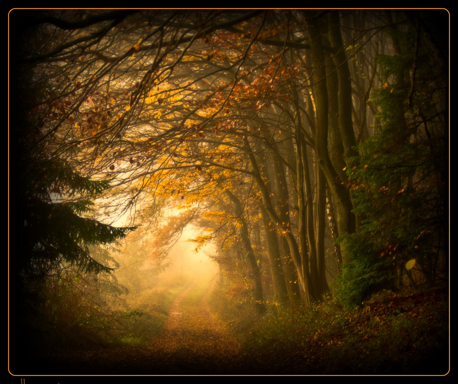 แสงแดด, ป่า, ตก, ธรรมชาติ, การสะท้อน, ไม้, สาขา, เช้า, เยอรมนี, มายากล, ป่า, เส้นทาง, ศิลปะ, ลึกลับ, ต้นไม้, ฤดูใบไม้ร่วง, ใบไม้, ฤดู, ทาง, elitegalleryaoi, ความมืด, เทพนิยาย, ความคิดสร้างสรรค์, ลึกลับ, นางฟ้า, bestcapturesaoi, platinumphoto, ภาพหน้าจอ, Oberberg, วากามาราม, bestofmywinners, ป่าไม้, ถิ่นที่อยู่, สภาพแวดล้อมทางธรรมชาติ, วอลล์เปเปอร์คอมพิวเตอร์