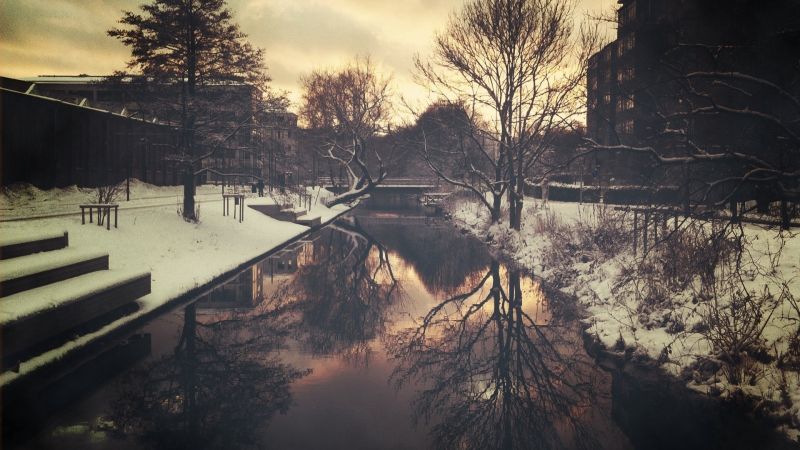 sunlight, sunset, night, water, trees, urban sunlight, sunset, night, water, trees, urban