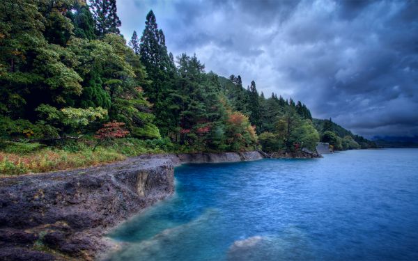 fir trees,lake,water,blue,protected,stony