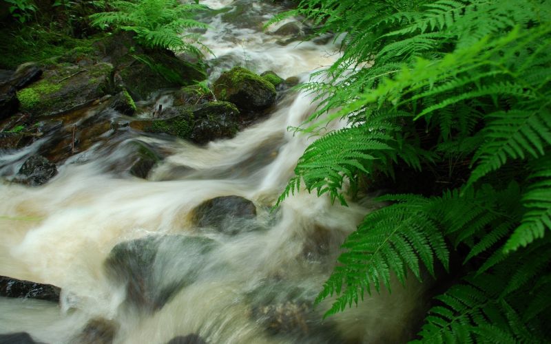 landscape, forest, waterfall, water, nature, green landscape, forest, waterfall, water, nature, green