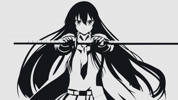 8000x4500 px,Akame,Akame ga Kill,anime vectors,vectors
