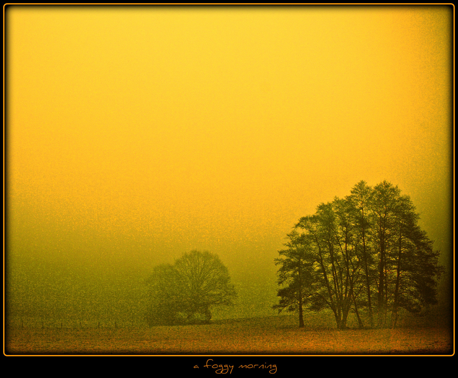 slunečnímu záření, krajina, Příroda, tráva, nebe, pole, svítání, žlutý, večer, ráno, Německo, mlha, kouzlo, slunce, horizont, atmosféra, prach, UMĚNÍ, mystický, strom, mlha, svítání, lučina, louka, prostý, tvořivý, mystik, theunforgettablepictures, bestcapturesaoi, platinumphoto, flickrdiamond, artofimages, Oberberg, platinumsuperstar, vanagram, prérie, venkov, počítač tapeta, rám obrazu, ekoregion