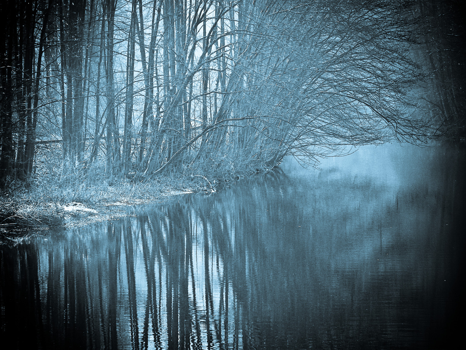 slunečnímu záření, les, černobílý, voda, Příroda, odraz, zima, vlak, větev, led, ráno, Německo, mlha, mráz, zrcadlo, řeka, měsíční svit, textura, atmosféra, zmrazení, světlo, strom, počasí, sezóna, elitegalleryaoi, tma, theperfectphotographer, theunforgettablepictures, bestcapturesaoi, aplusphoto, golddragon, artofimages, megashot, supershot, superaplus, Oberberg, platinumsuperstar, yourwonderland, naturewatcher, avision, atmosférický jev, počítač tapeta, Černý a bílý, monochromatické fotografování, cayn, treeofhonor