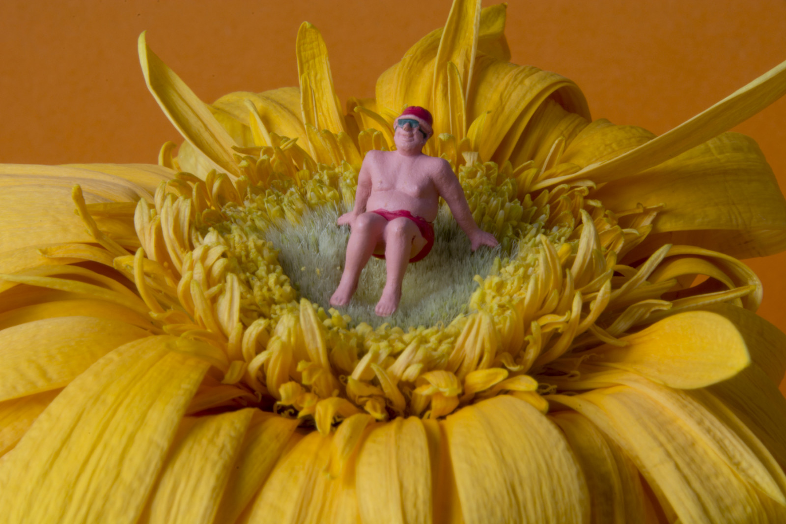 girasole, piccolo, piccole persone, Figure, Giocattolo, giocattoli, miniatura, miniaturefigures, miniaturefiguresphotography, persone, minuscolo, railwayfigures, Preiser, fiore, giallo, arancia, prendere il sole, estate, costume da bagno, tempo libero, vacanza, miniaturepeople, miniaturepeoplephotography, miniaturefigure, jopperbok, fiaba, Fata, Marcia, sprookje, racconto, Ho