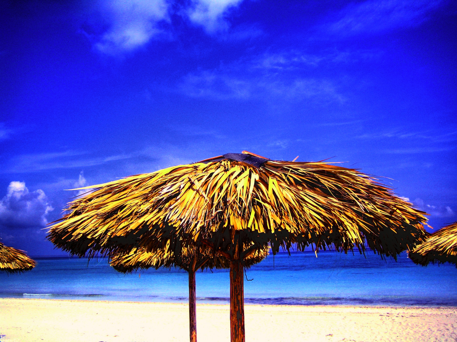 oceán, modrý, moře, nebe, pláž, žlutý, deštník, dlaněmi, kobyla, Blu, Kuba, carribean, dlaň, giallo, cielo, Varadero, palme, spiaggia, oceano, Caraibi, Ombrellone, theunforgettablepictures, esinuhe69