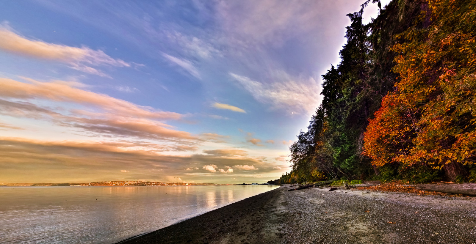 parkere, efterår, træer, strand, færge, skyer, punkt, washington, skib, havnefronten, last, beholder, Tacoma, HDR, Trodsighed