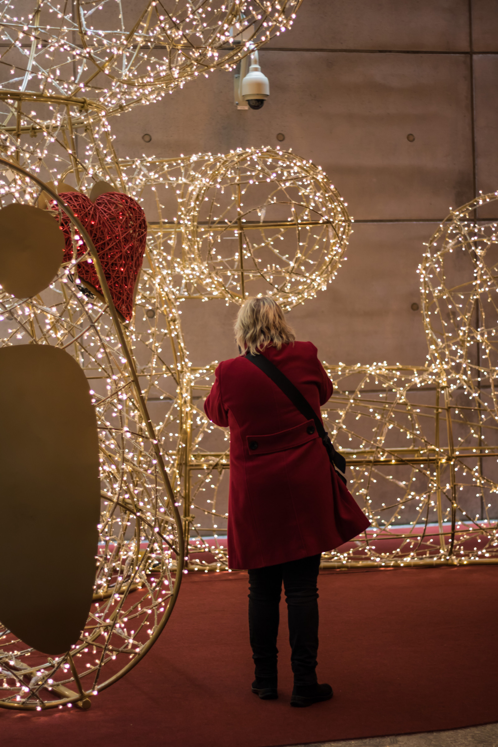 noc, Červené, šaty, Vánoční strom, Vánoce, květ, stanice, Vánoce, osvětlení, července, vlakové nádraží, Triangeln, Medvídek, Nalle, Malmo, t gstation, gatufoto, nightphotography, Natt, v noci, exif modelu canoneos760d, geocountry, Kamera aby kánon, geocity, Model fotoaparátu canoneos760d, geostate, geolocation, exif aby kánon, EXIF isospeed 320, exif focallength 50mm, EXIF ef50mmf18stm čočka, EXIF otvor 18, teddy, bj rn, streetphotography, nattfotografering, vánoční dekorace