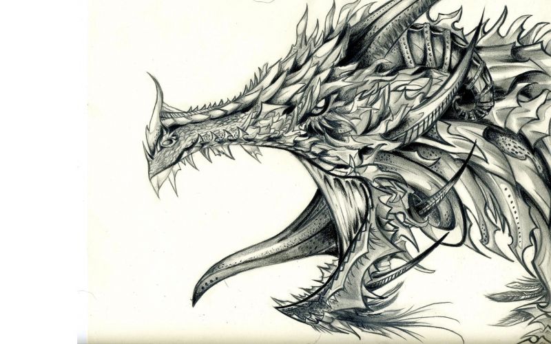 drawing, illustration, fantasy art, artwork, cartoon, dragon drawing, illustration, fantasy art, artwork, cartoon, dragon