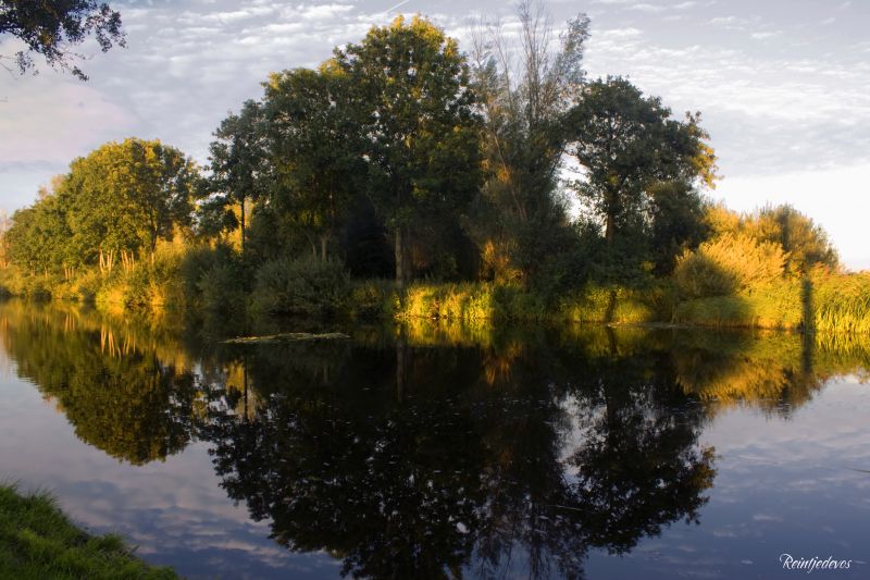 Betrachtung, Wasser, Natur, Wasserweg, Gelb, Bank