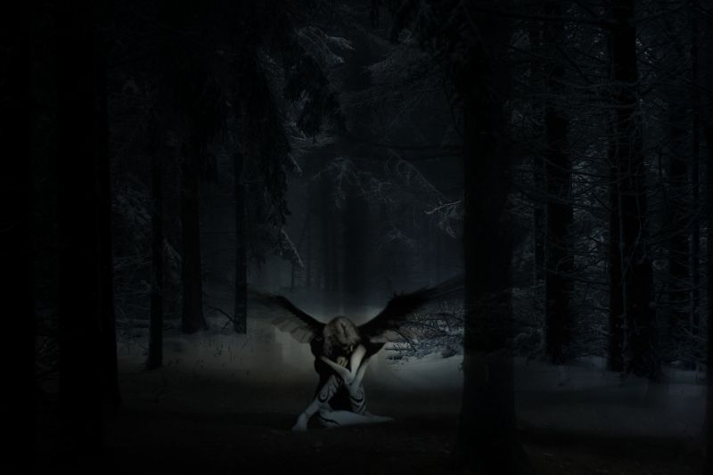 hutan, malam, sinar bulan, tengah malam, kegelapan, screenshot hutan, malam, sinar bulan, tengah malam, kegelapan, screenshot