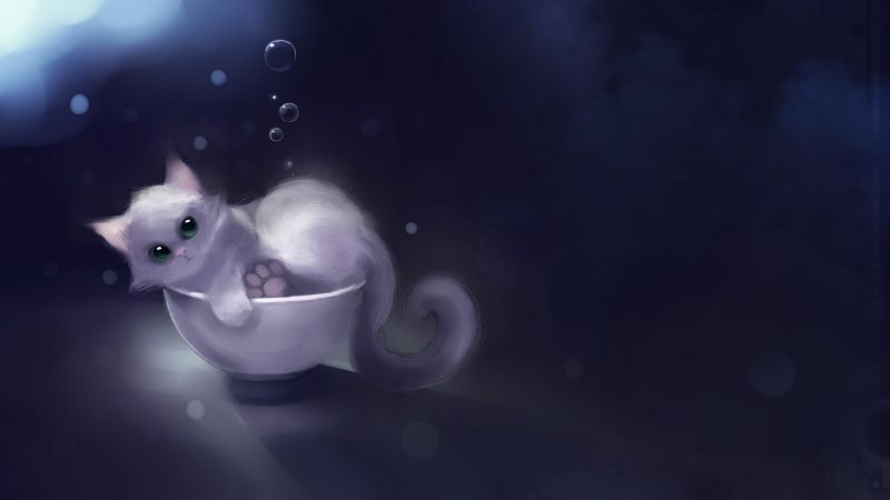 mørke, skjermbilde, 1920x1080 px, skrivebordsbakgrunn, katt, under vann mørke, skjermbilde, 1920x1080 px, skrivebordsbakgrunn, katt, under vann