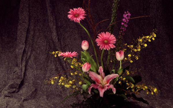 fleurs, jaune, fleur, printemps, feuille, Tulipes