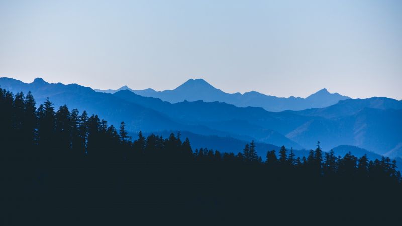 stromy, krajina, les, hory, Příroda, nebe stromy, krajina, les, hory, Příroda, nebe
