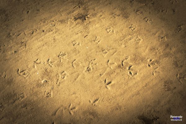 sky,sand,Linux,texture,Ubuntu,GIMP