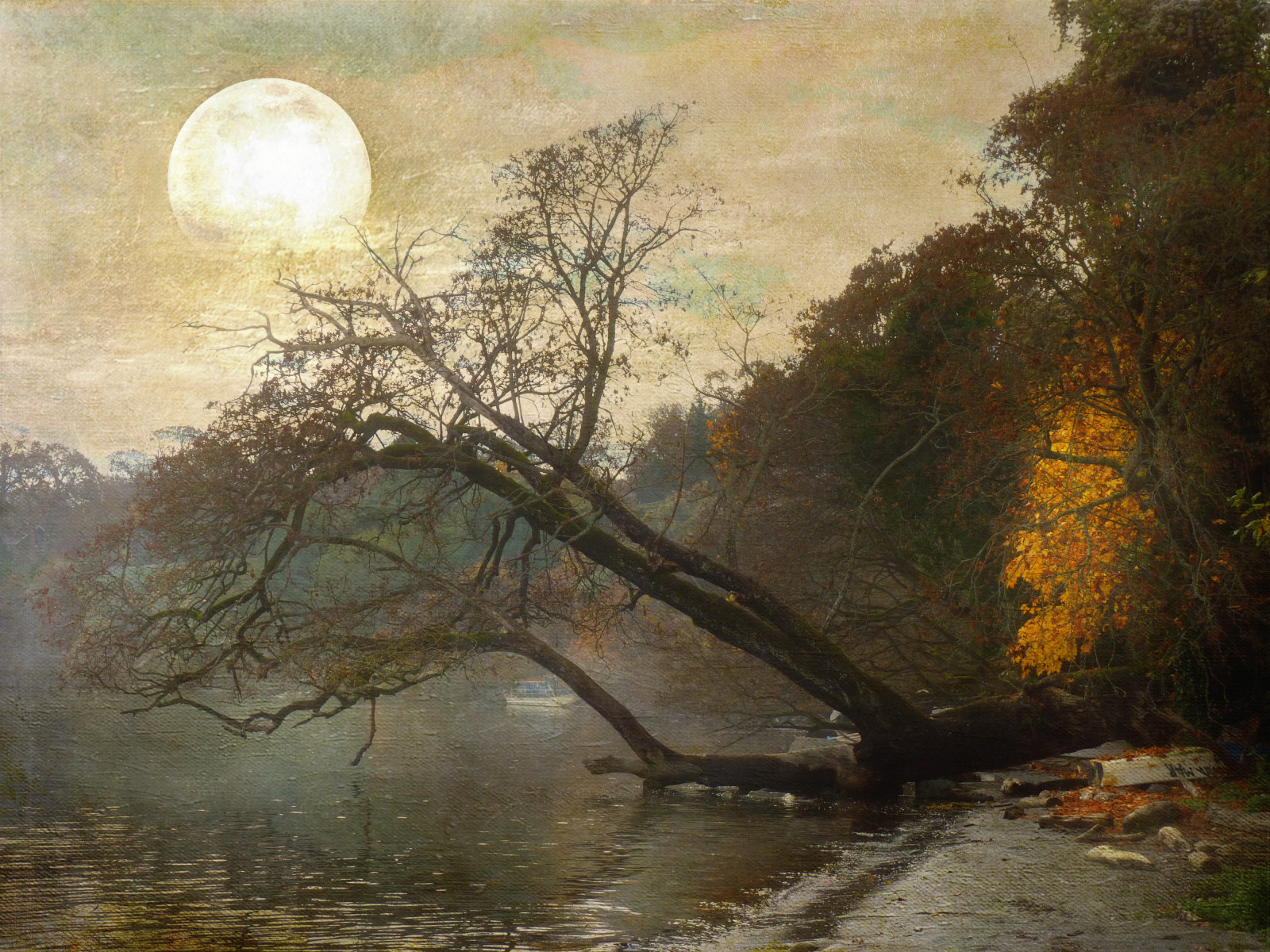 podzim, Měsíc, podzim, mlha, záliv, vancouverisland, victoriabc, tatot, kurtpeiserexcellence