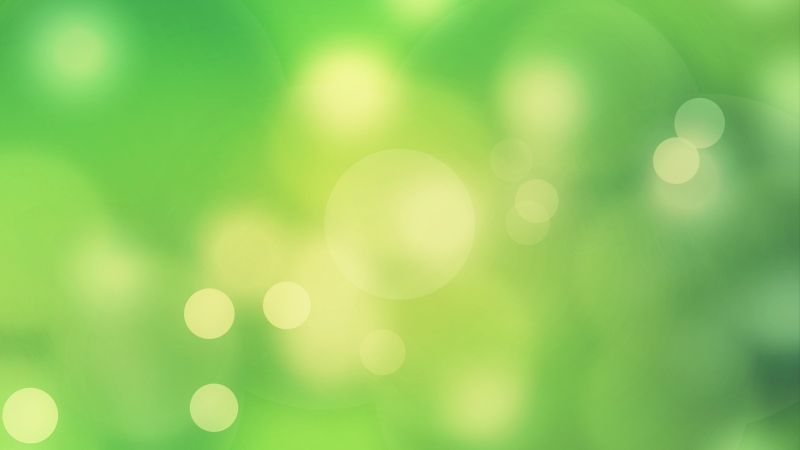 sunlight, grass, branch, green, circle, digital art sunlight, grass, branch, green, circle, digital art