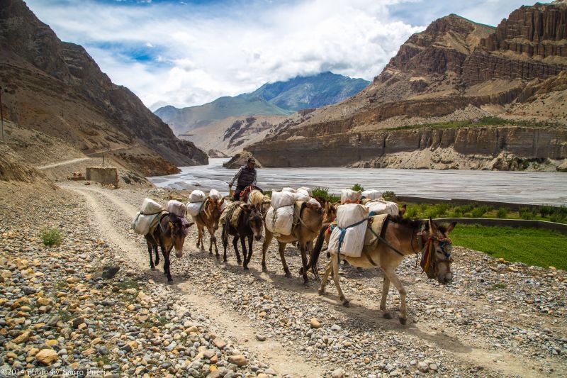 Nepál, Asie, Mustang Nepál, Asie, Mustang