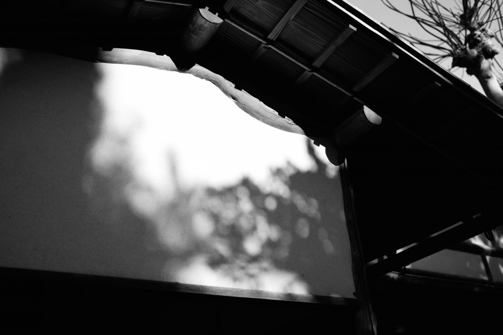 bílý, Černá, černobílý, fotografování, Leica, Tokio, M, světlo, tělesné, tvar, fotografie, tma, ikegamibaien, Ikegami, Summicron, summicron1235mm, type240, Černý a bílý, monochromatické fotografování, Film noir