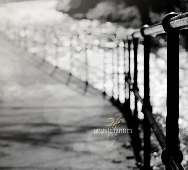 Mono,Bokeh,Fencefriday,Fenchfriday,Fencedfriday,wwwangelafantoncom