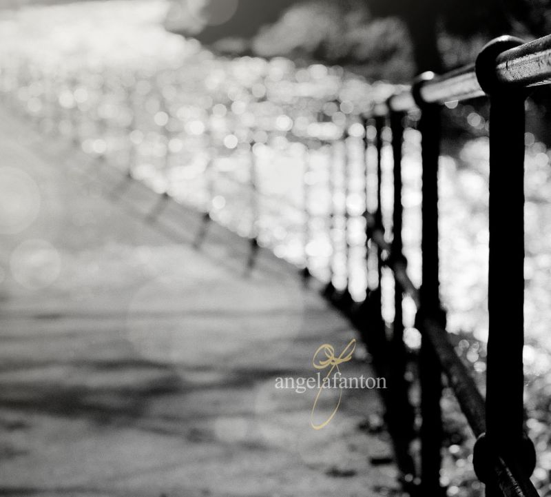 Огороженная территория,Моно,Боке,Fencefriday,Fenchfriday,wwwangelafantoncom