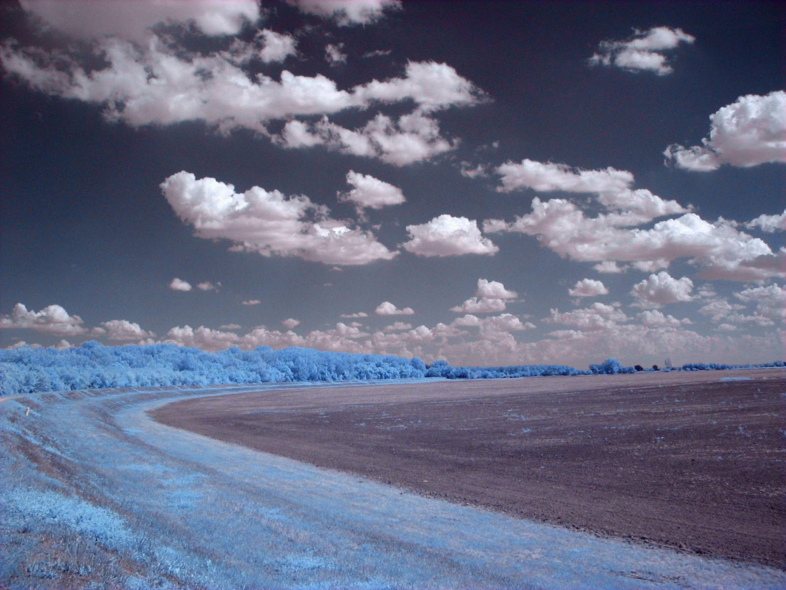 Infračervený, mraky, stromy, tráva, pole