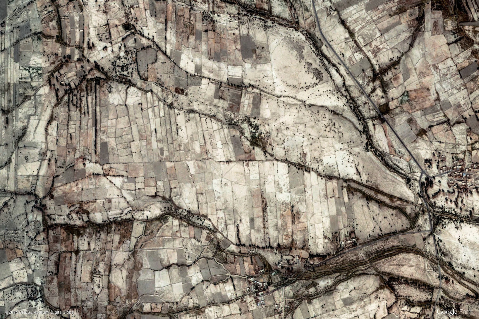 paesaggio, natura, parete, legna, Terra, ramo, struttura, vista aerea, betulla, albero, fiore, pianta, suolo, geologia, impianto di terra, pianta legnosa, tronco