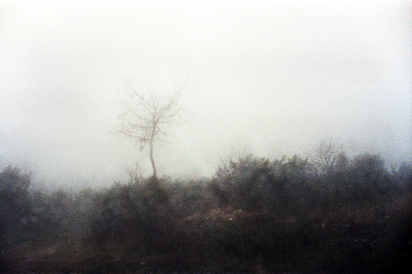 rozmazat, déšť, ROLLEI, analogový, 35MM, krajina, Nph, Tessar