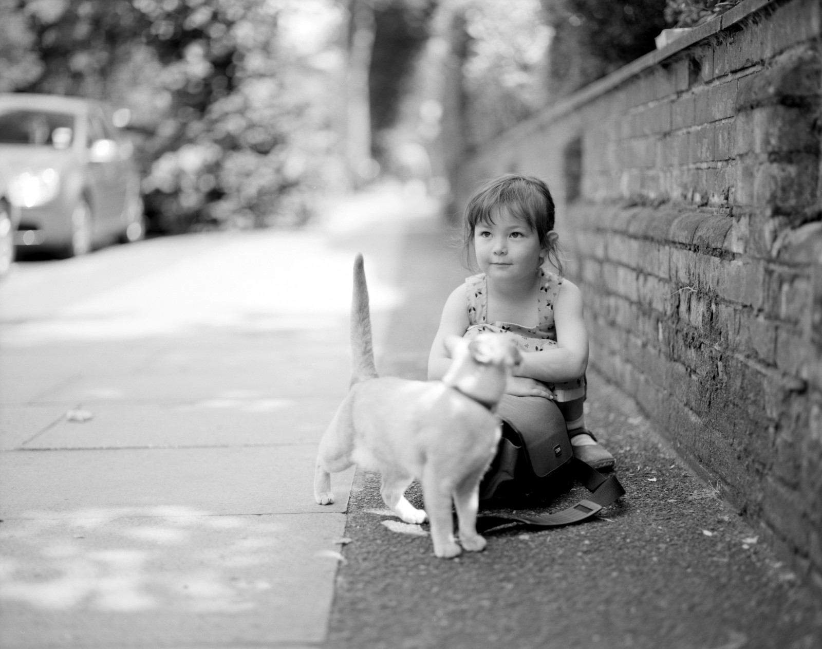 bílý, fotografie, Černá, Černý a bílý, Osoba, savec, obratlovců, dítě, monochromatické fotografování, fotografování, momentka, pes jako savec, Pes, sedící, stojící, černobílý, dívka, čenich, portrétní fotografie, batole, ulice, styl