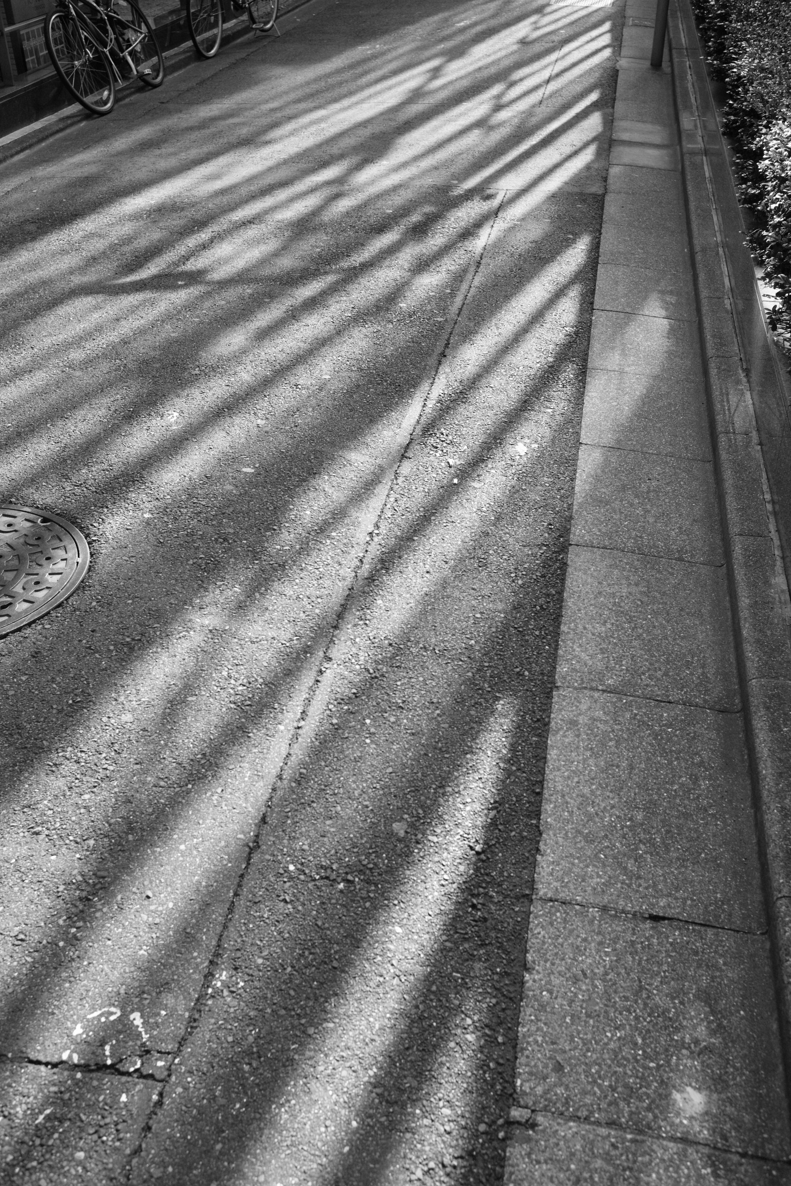 slunečnímu záření, bílý, Černá, černobílý, stín, silnice, fotografování, dřevo, symetrie, Leica, Tokio, asfalt, M, světlo, tvar, čára, tma, Summicron, typ240, Gotanda, summicron35mmf2, 20141019, pruh, Černý a bílý, monochromatické fotografování, povrch vozovky