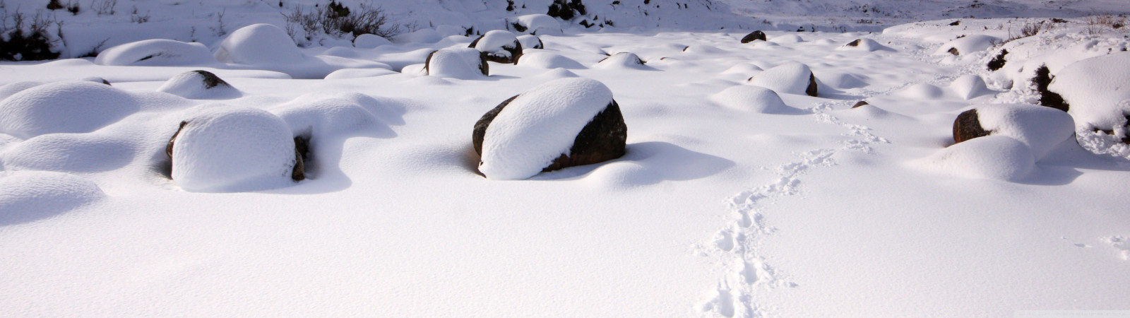 Wallpaper : landscape, nature, snow, ice, Arctic, Freezing, weather ...